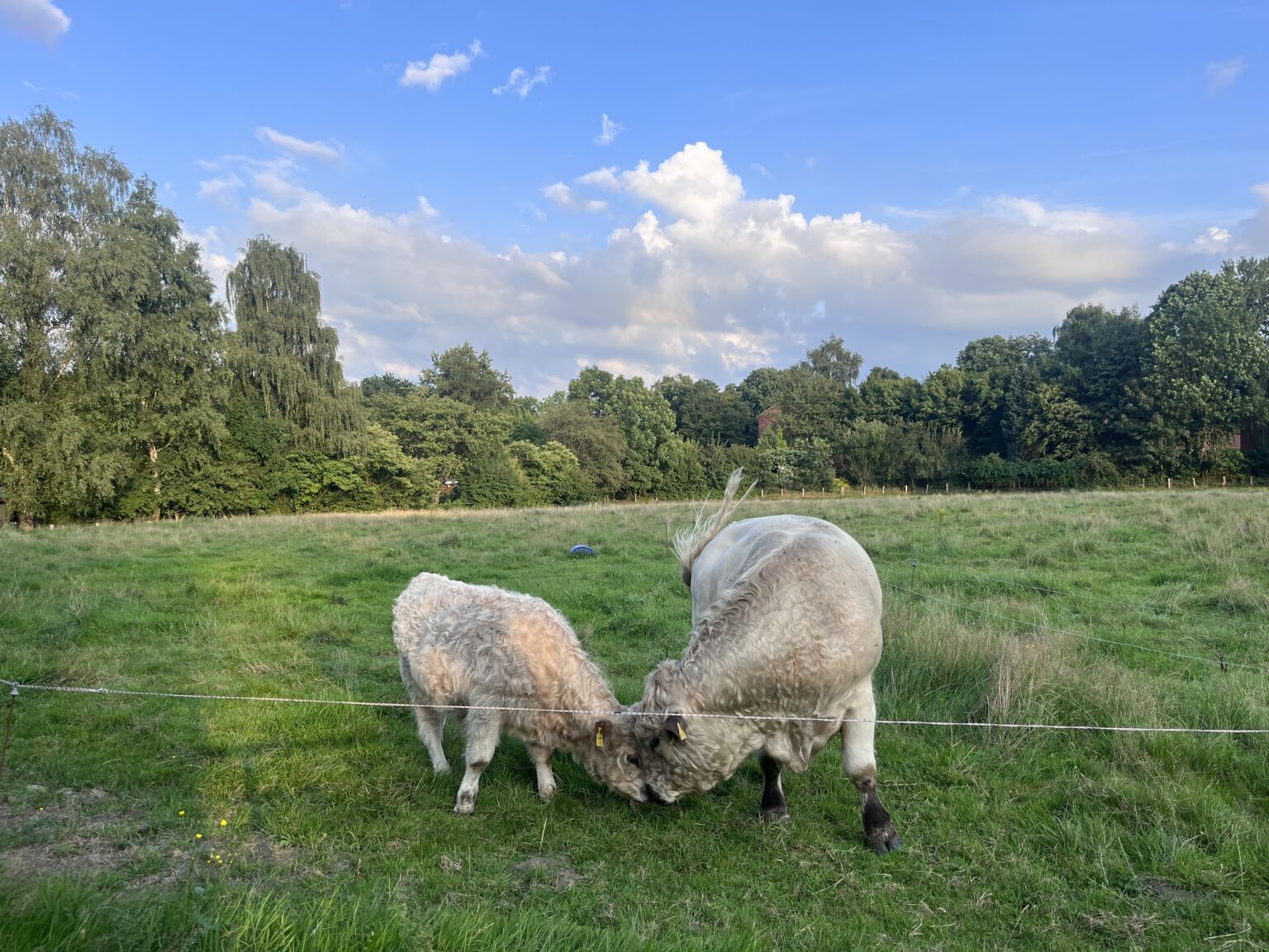 die Umgebung unserer Marina